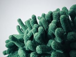 Bacteriostático: ¿Qué es y cómo funciona? Beneficios que no conocías