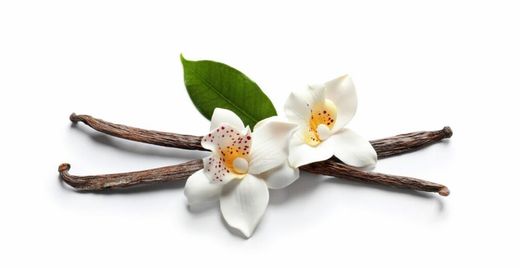 Aroma de vainilla: características y percepciones de esta fragancia
