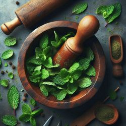 Ment (Menta)