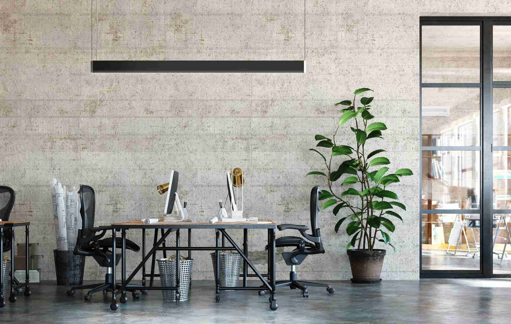 Salón moderno con planta de interior utilizando ambientadores de ambizone