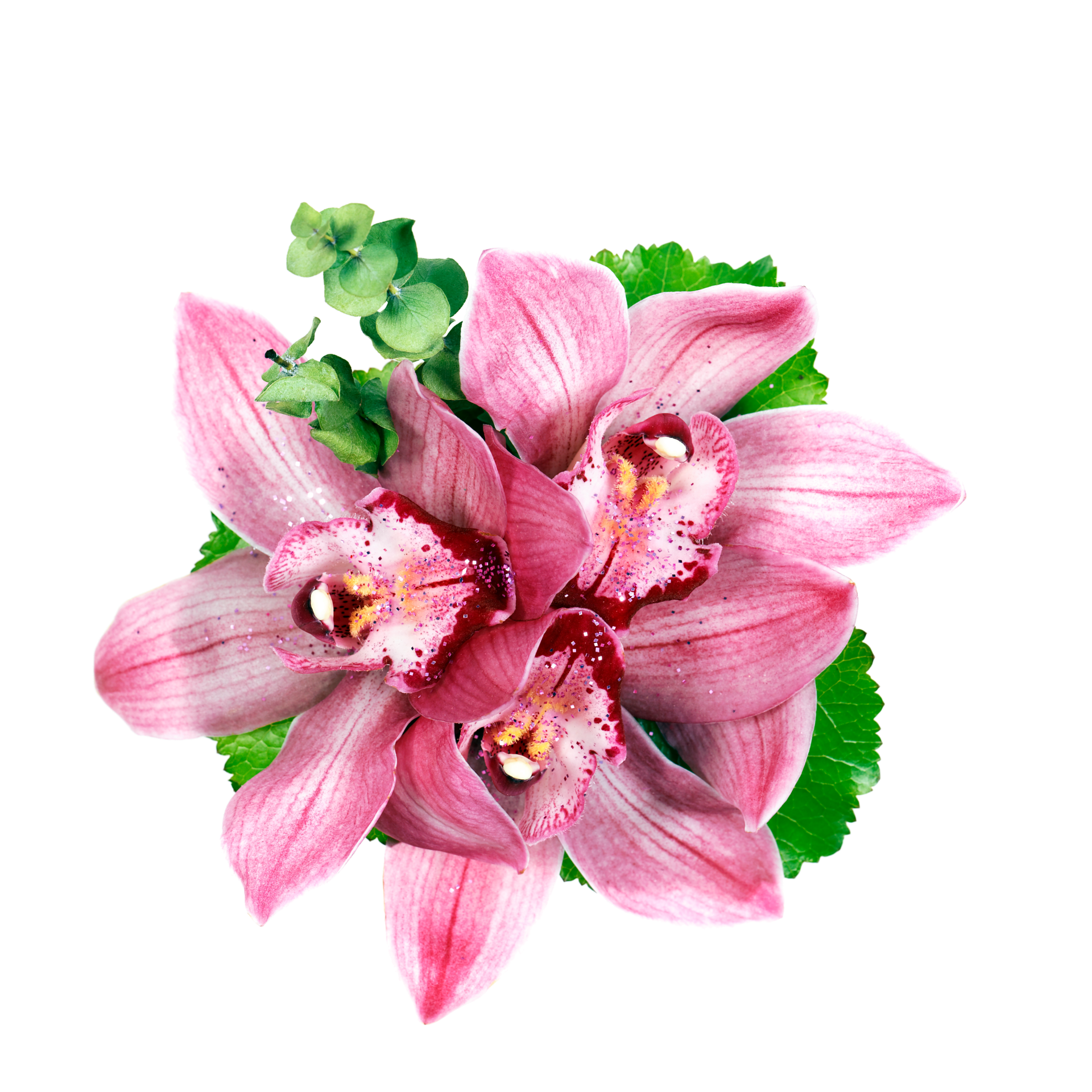 Flor de una orquidea